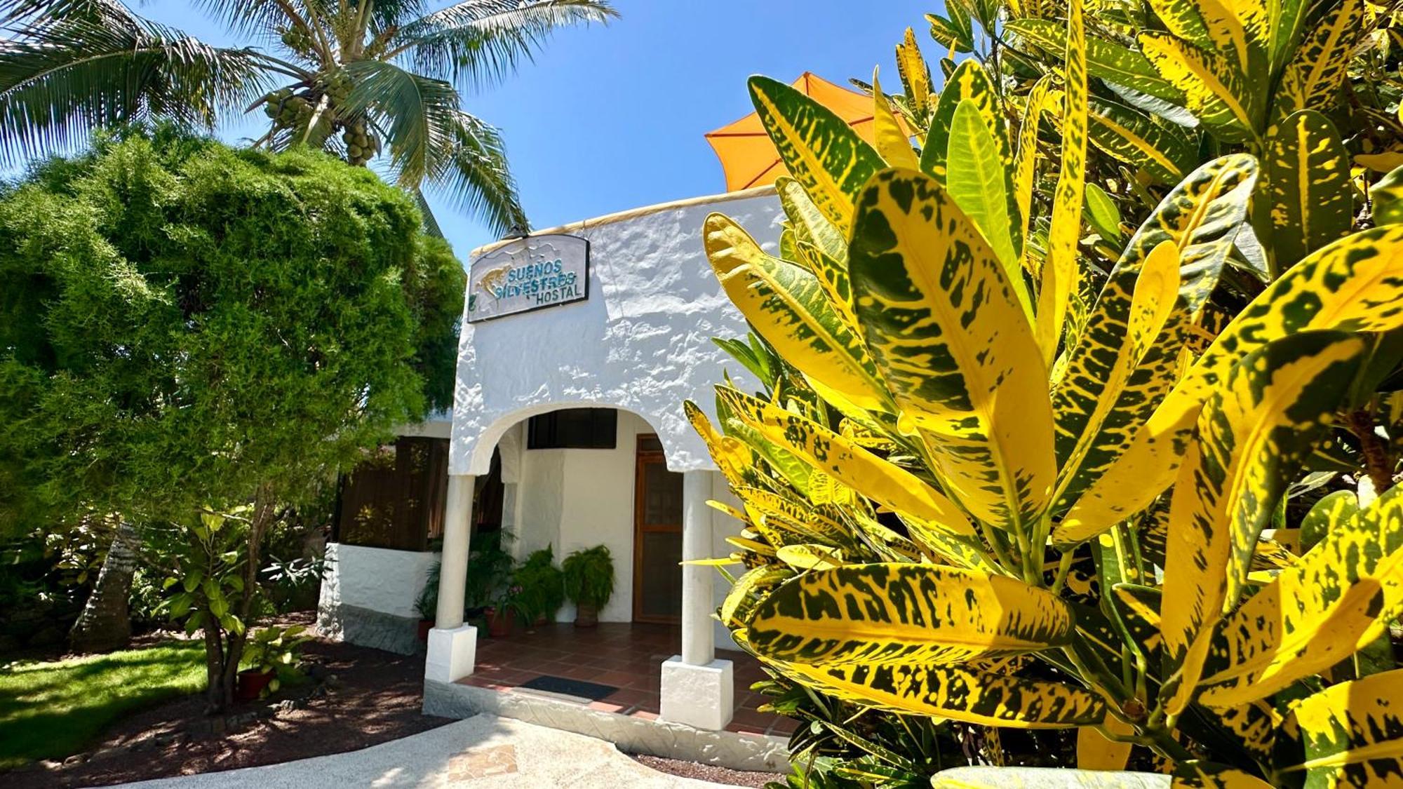 Hostal Suenos Silvestres 阿约拉港 外观 照片
