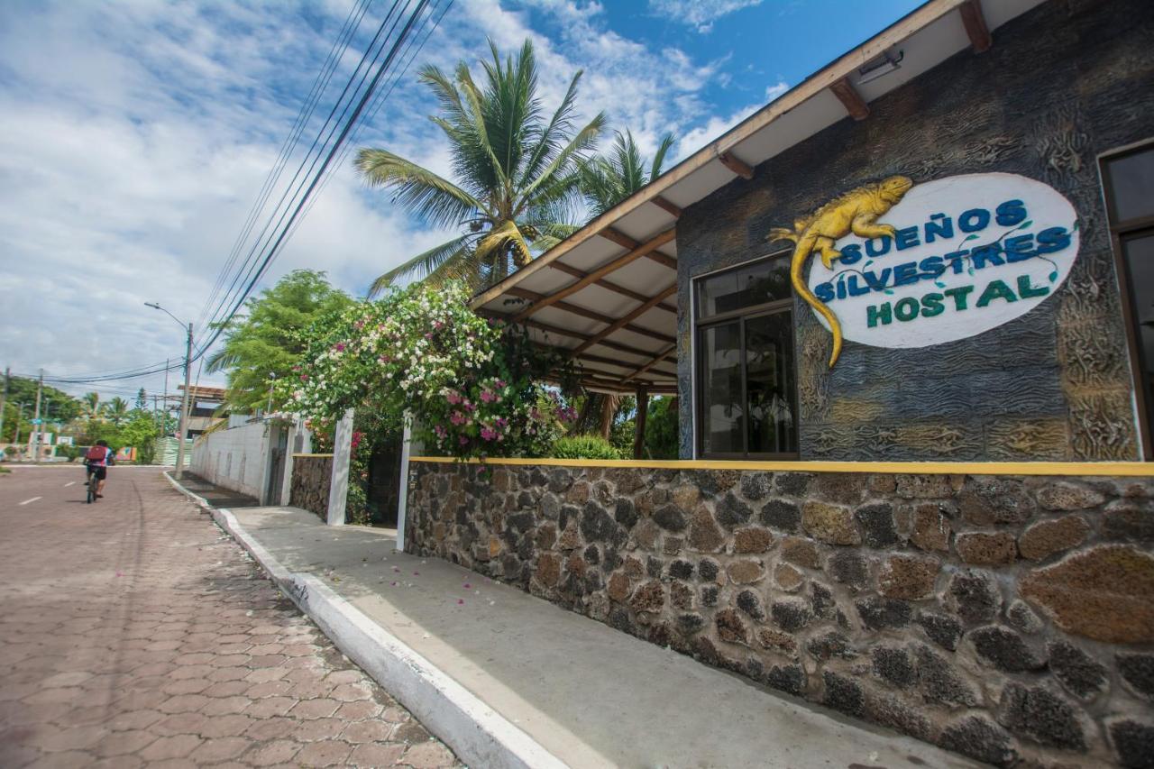 Hostal Suenos Silvestres 阿约拉港 外观 照片