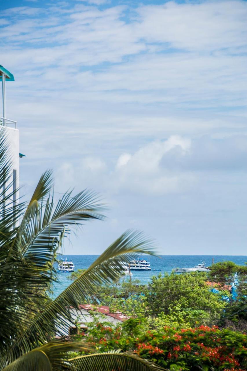 Hostal Suenos Silvestres 阿约拉港 外观 照片