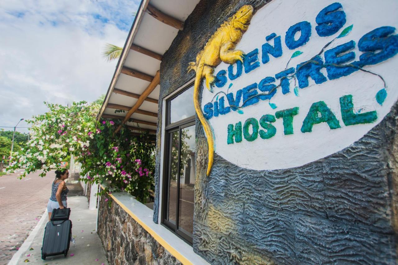 Hostal Suenos Silvestres 阿约拉港 外观 照片