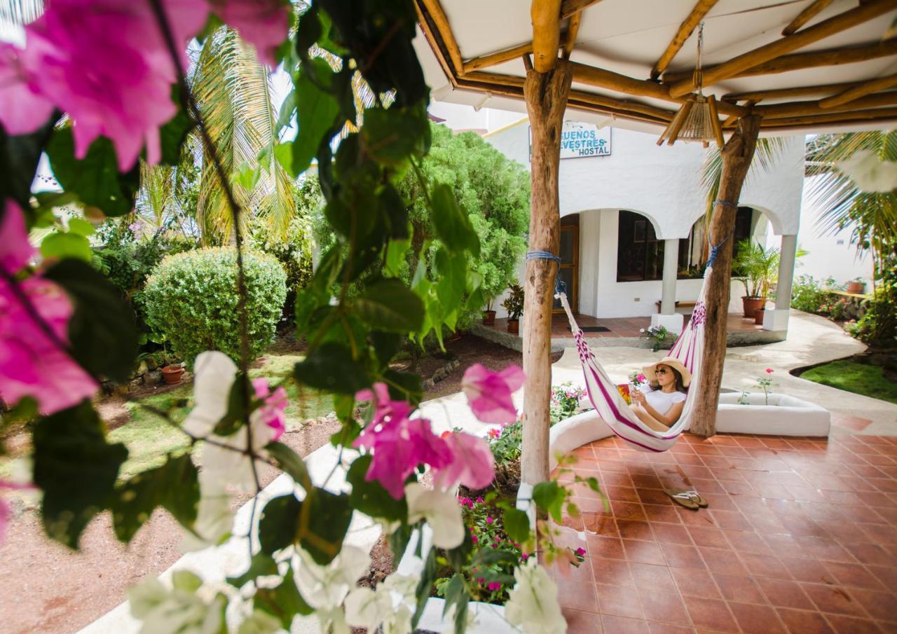 Hostal Suenos Silvestres 阿约拉港 外观 照片